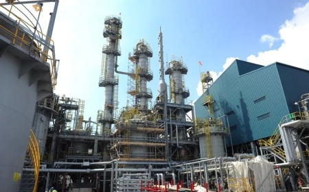 Ethylene-Vinyl Alcohol (EVOH) Production Cost Analysis 2025: Strategic Recommendations