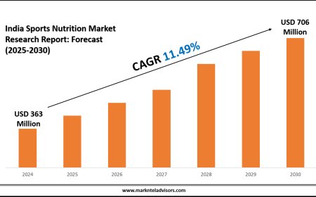 India Sports Nutrition Market Size Overview – Segment Insights & Forecast