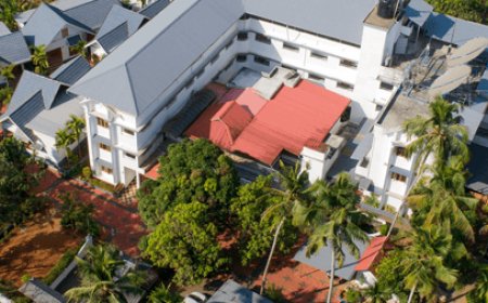 Ayurveda for Chronic Illnesses: Healing Arthritis and Parkinson’s in Kerala