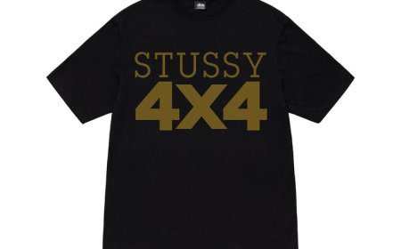 The Future of Stussy shirt: Staying True to Its Roots