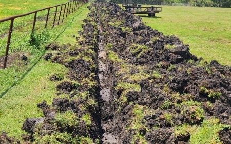 Get the Job Done Right with Professional Grading, Pond Clean-Up, and Dirt Work Services