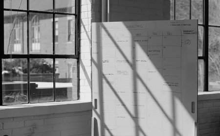 Uncharted How MX5 Consulting Empowers Leaders for Sustainable Growth