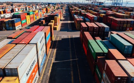 How to Integrate the Advance License Scheme into Your SAP/ERP Workflow