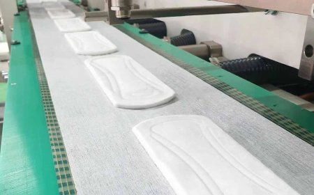 Bamboo Fiber Pads Manufacturing Business Plan 2025: Project Report, and Cost Analysis