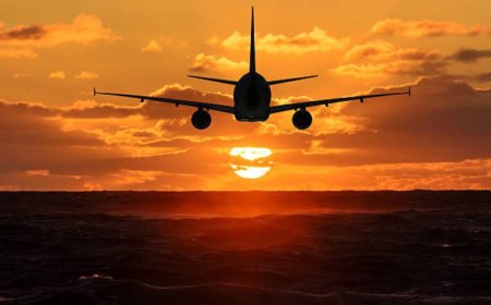 Your Complete Guide to the Turkish Airlines Chicago Office