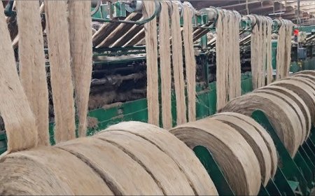 Jute Processing Plant Report 2025 | Setup Details and Cost Analysis