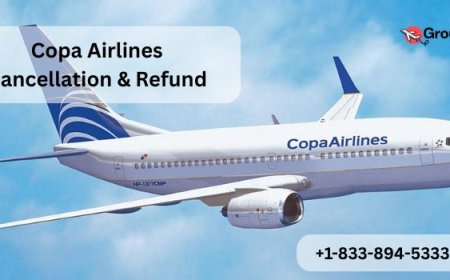 How Many Checked Bags with Copa Airlines Group Travel?