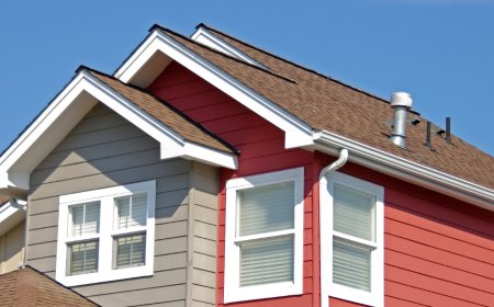 Expert Naples Residential Roofing Services: Construction to Replacement