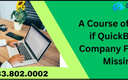A Course of Action if QuickBooks Company Files are Missing
