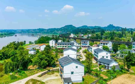 How to Identify Undervalued Real Estate Properties in Your Area