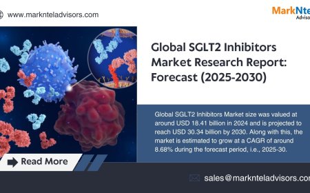 SGLT2 Inhibitors Market Key Players, Companies and Forecast 2030