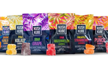 CBD Gummies With THC