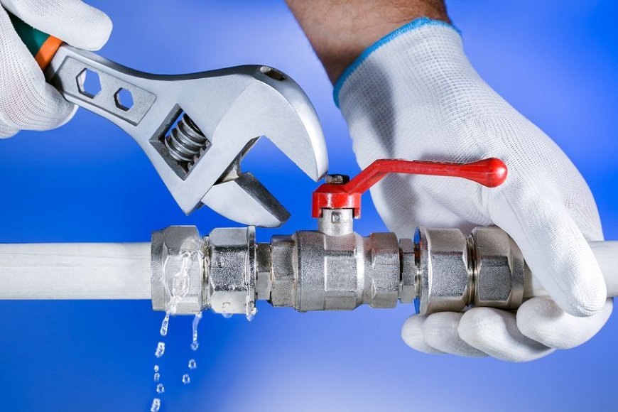 Top-Rated Professional Plumbing Services for Domestic Needs in Melbourne