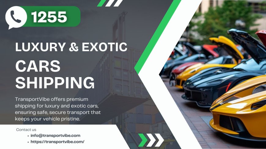 Top-Rated Exotic Car Transport Companies in the USA