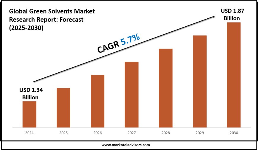 2025–2030 Green Solvents Market Landscape: Growth, Share & Opportunities