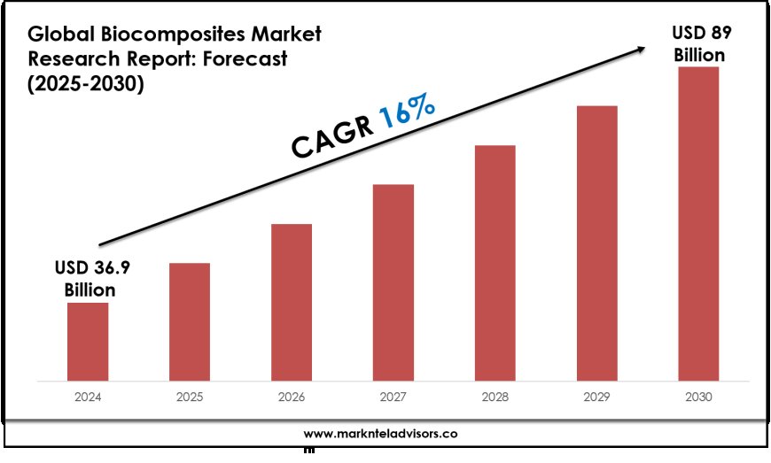 Biocomposites Industry Trends & Forecast: Market Outlook to 2030