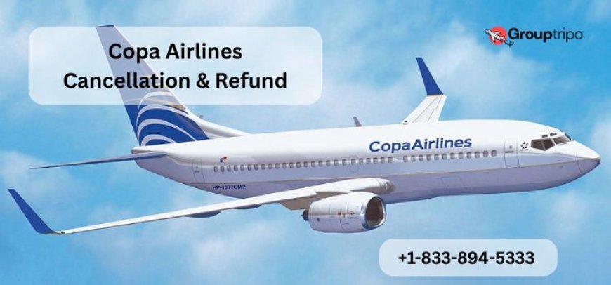 How Many Checked Bags with Copa Airlines Group Travel?