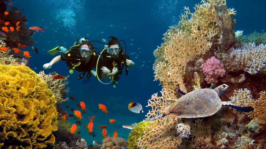The Hidden Depths of Dubai: A Scuba Diver’s Guide to the UAE's Underwater Wonders